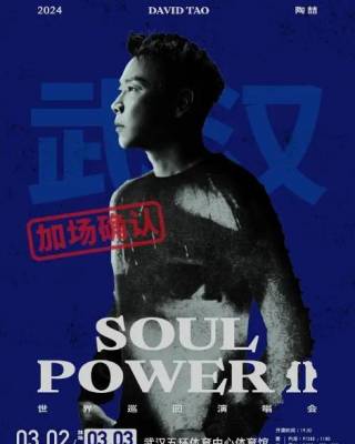 2024【武汉】2024 陶喆 Soul Power II 世界巡回演唱会-武汉站